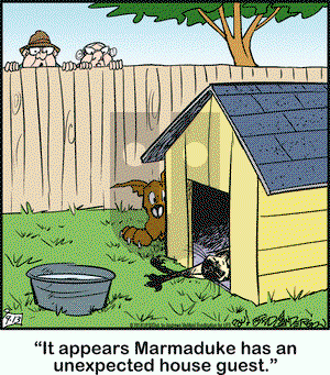 Marmaduke on Thursday September 13, 2018 Comic Strip