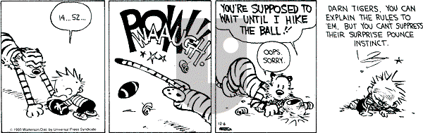 Calvin and Hobbes - Monday December 6, 1993 Comic Strip