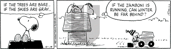 Peanuts - Monday October 19, 1992 Comic Strip