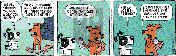 Pooch Cafe on Wednesday November 22, 2017 Comic Strip