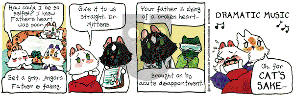 Breaking Cat News on Tuesday August 6, 2019 Comic Strip