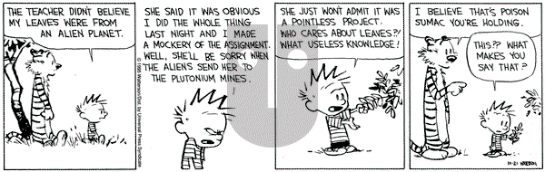 Calvin and Hobbes on Saturday October 21, 1995 Comic Strip