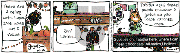 Breaking Cat News on Tuesday October 10, 2017 Comic Strip