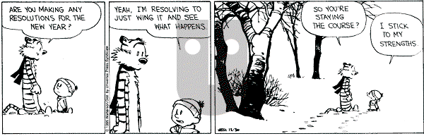 Calvin and Hobbes - Saturday December 30, 1995 Comic Strip