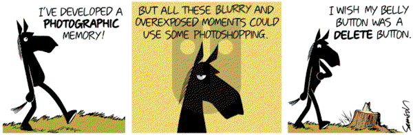 Dark Side of the Horse on Monday August 22, 2016 Comic Strip