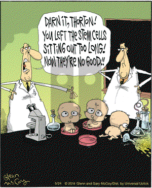 The Flying McCoys on Saturday May 24, 2014 Comic Strip