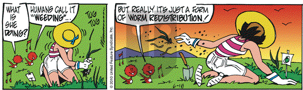 Rose is Rose on Friday June 18, 2010 Comic Strip