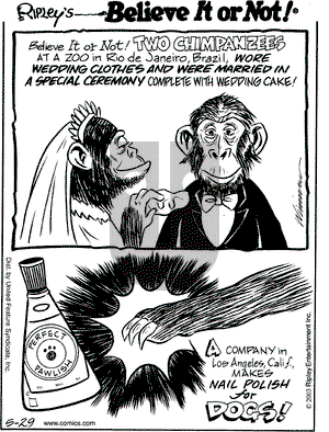 Ripley's Believe It or Not on Thursday May 29, 2003 Comic Strip