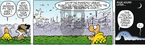 Over the Hedge on Monday October 5, 2020 Comic Strip