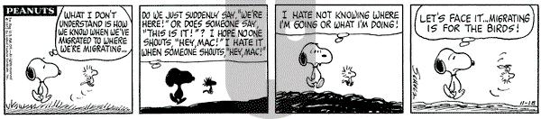 Peanuts on Saturday November 18, 1972 Comic Strip