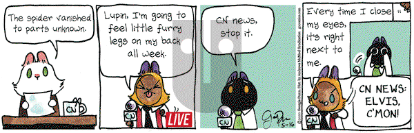 Breaking Cat News on Saturday May 16, 2020 Comic Strip