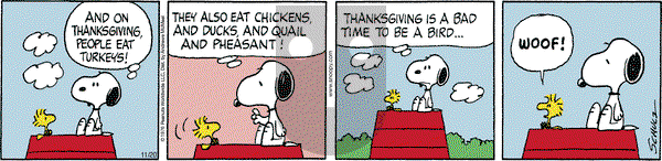 Peanuts - Monday November 20, 2023 Comic Strip