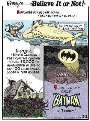 Ripley's Believe It or Not - Wednesday August 3, 2022 Comic Strip