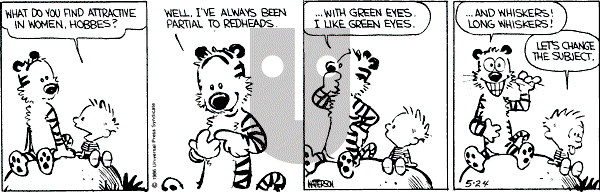 Calvin and Hobbes - Friday May 24, 1991 Comic Strip