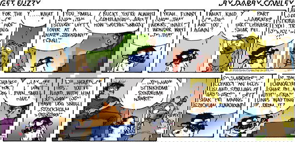 Get Fuzzy on Sunday October 17, 2010 Comic Strip