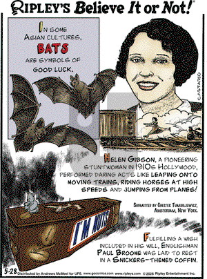 Ripley's Believe It or Not on Wednesday May 28, 2025 Comic Strip
