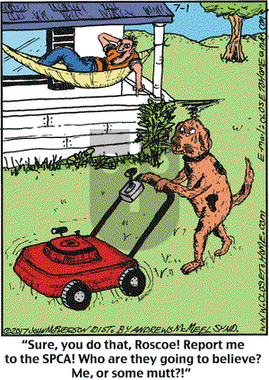 Close to Home on Saturday July 1, 2023 Comic Strip