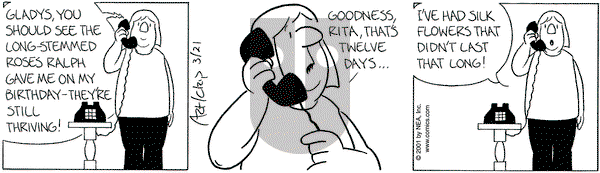 The Born Loser on Wednesday March 21, 2001 Comic Strip