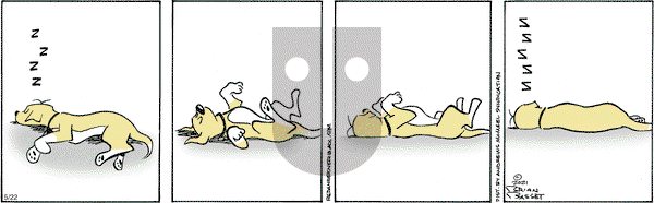 Red and Rover on Thursday May 22, 2025 Comic Strip