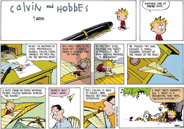 Calvin and Hobbes on Sunday July 15, 1990 Comic Strip