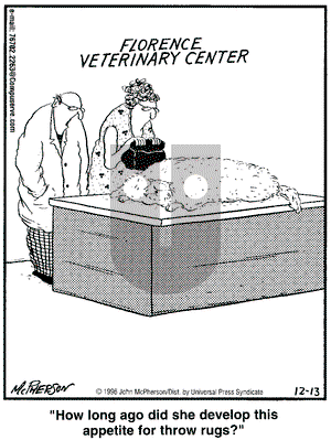 Close to Home on Friday December 13, 1996 Comic Strip