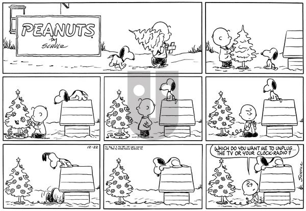 Peanuts on Sunday February 9, 1975 Comic Strip
