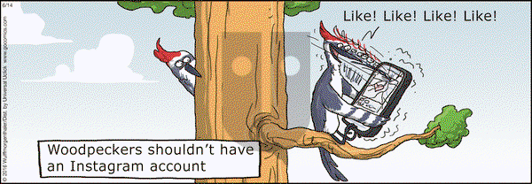 WuMo on Tuesday June 14, 2016 Comic Strip