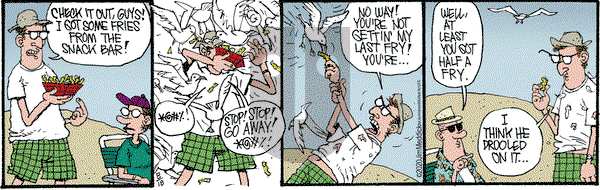Monty on Tuesday August 18, 2020 Comic Strip
