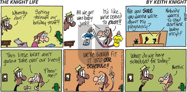 The Knight Life on Sunday January 3, 2010 Comic Strip