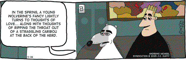 The Fusco Brothers on Monday May 26, 2025 Comic Strip