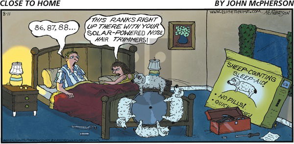 Close to Home on Sunday August 11, 2024 Comic Strip