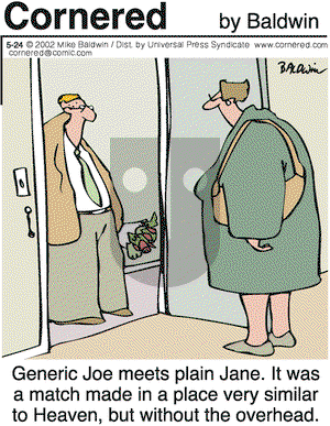 Cornered on Friday May 24, 2002 Comic Strip