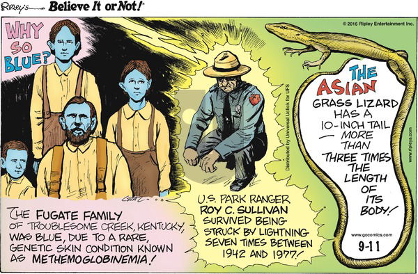 Ripley's Believe It or Not on Sunday September 11, 2016 Comic Strip