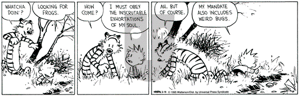 Calvin and Hobbes on Monday March 13, 1995 Comic Strip