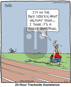 In the Bleachers on Saturday November 5, 2005 Comic Strip