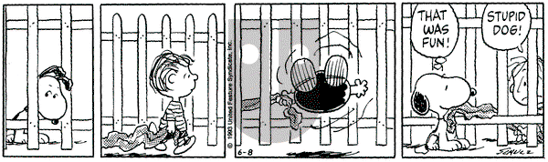 Peanuts on Tuesday June 8, 1993 Comic Strip