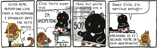 Breaking Cat News on Wednesday August 23, 2017 Comic Strip