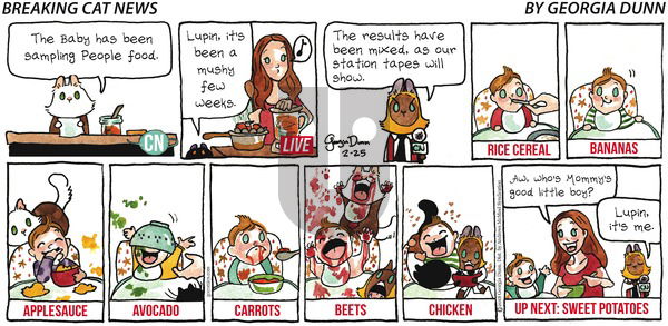 Breaking Cat News on Sunday February 25, 2018 Comic Strip