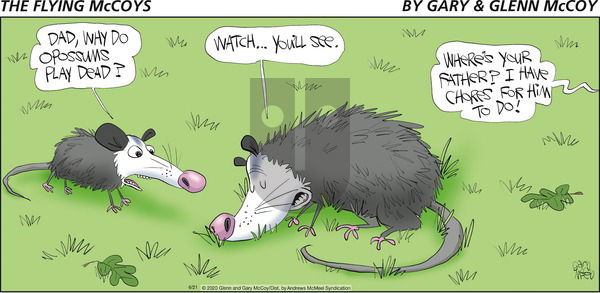 The Flying McCoys on Sunday June 21, 2020 Comic Strip
