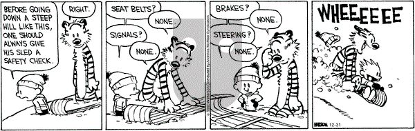 Calvin and Hobbes - Tuesday December 31, 2019 Comic Strip