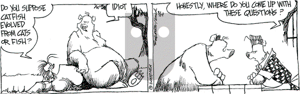 The Grizzwells on Friday March 14, 2008 Comic Strip