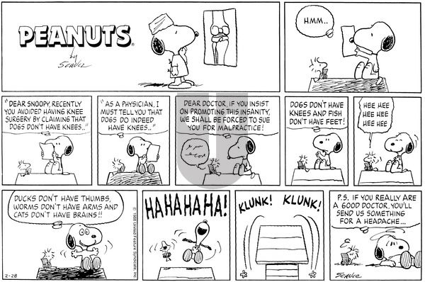 Peanuts on Sunday February 28, 1988 Comic Strip