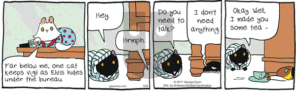 Breaking Cat News on Monday May 22, 2017 Comic Strip