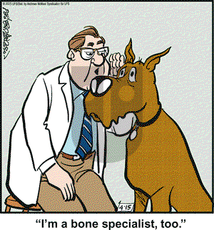 Marmaduke on Tuesday April 15, 2025 Comic Strip