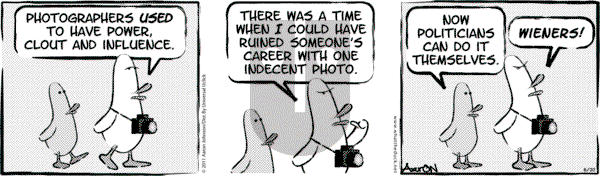 W.T. Duck on Sunday December 3, 2023 Comic Strip