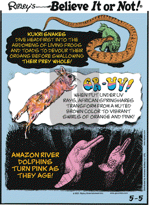 Ripley's Believe It or Not on Wednesday May 5, 2021 Comic Strip
