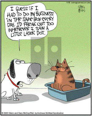 The Flying McCoys on Wednesday January 15, 2020 Comic Strip