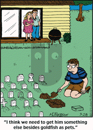 Close to Home - Wednesday September 28, 2022 Comic Strip