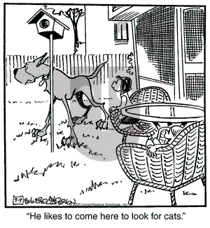 Marmaduke on Friday September 9, 2005 Comic Strip