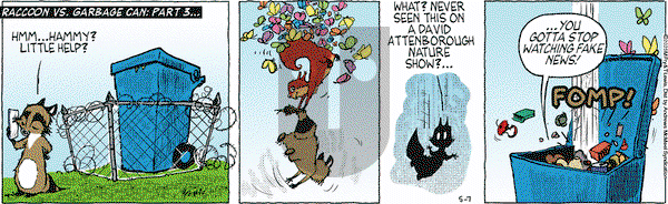 Over the Hedge on Wednesday May 7, 2025 Comic Strip